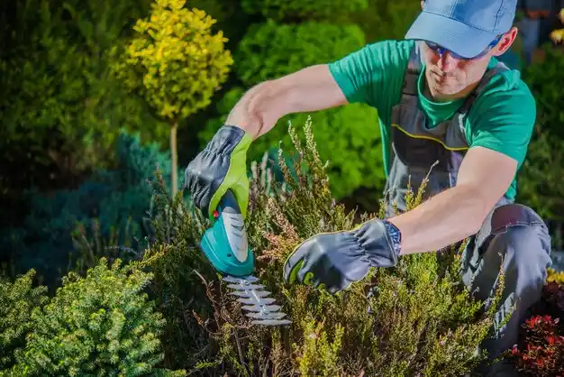 landscaping services Clara